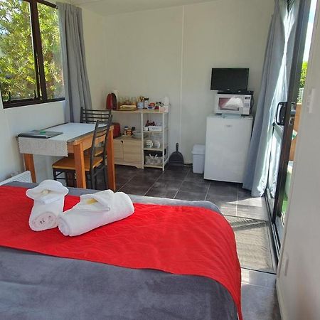 Lakeview Studio Cabin Apartment Kuratau Luaran gambar