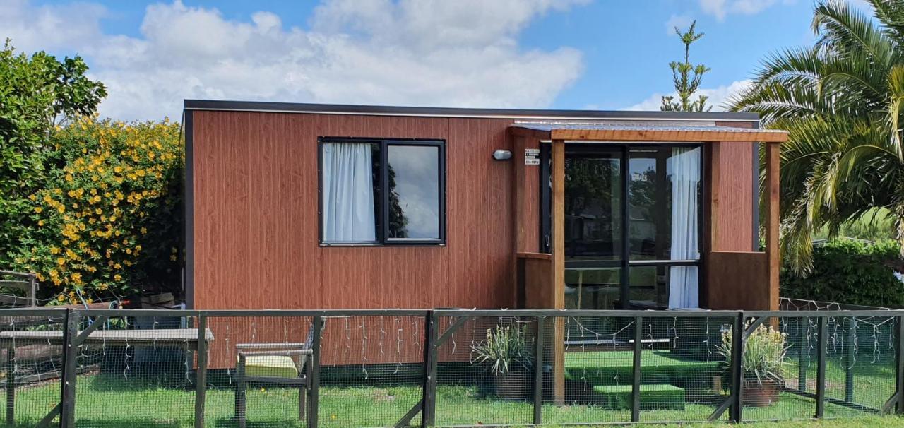 Lakeview Studio Cabin Apartment Kuratau Luaran gambar