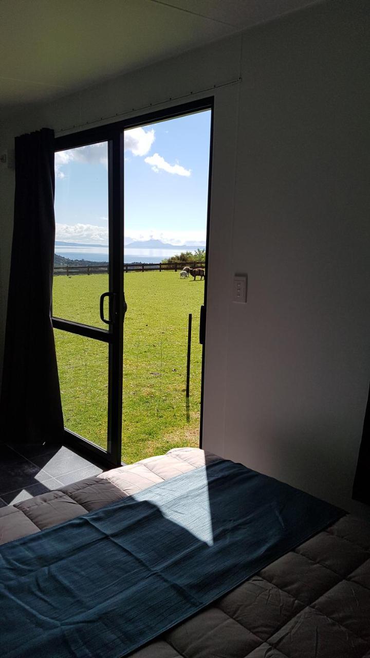 Lakeview Studio Cabin Apartment Kuratau Luaran gambar